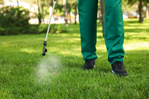 Best Cockroach Control Services  in Utica, SC