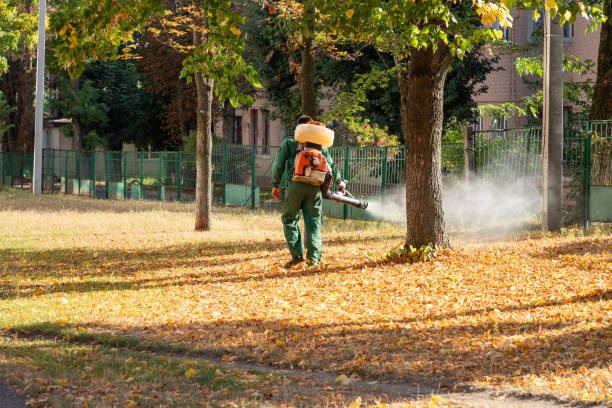 Best Pest Control for Homes  in Utica, SC