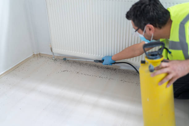 Best Pest Control Near Me  in Utica, SC