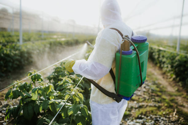 Best Affordable Pest Control Services  in Utica, SC